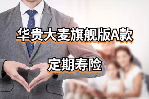 华贵大麦旗舰版A款定期寿险(互联网专属)-保险超市